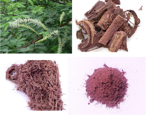 Mimosa Bark Root