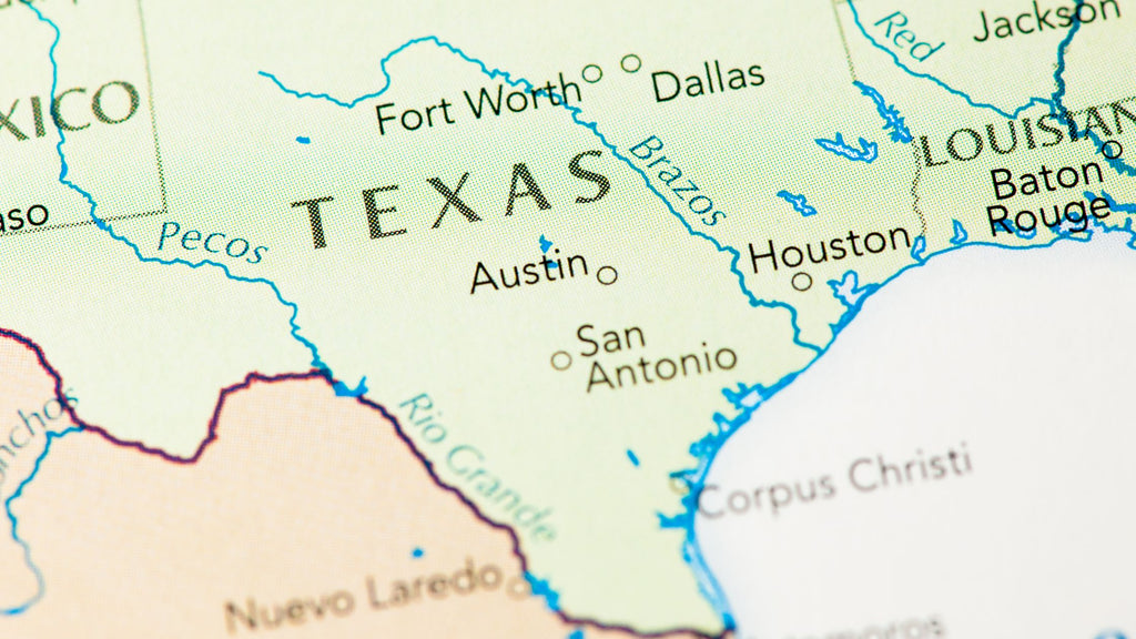 Psychedelic Mushrooms in Texas